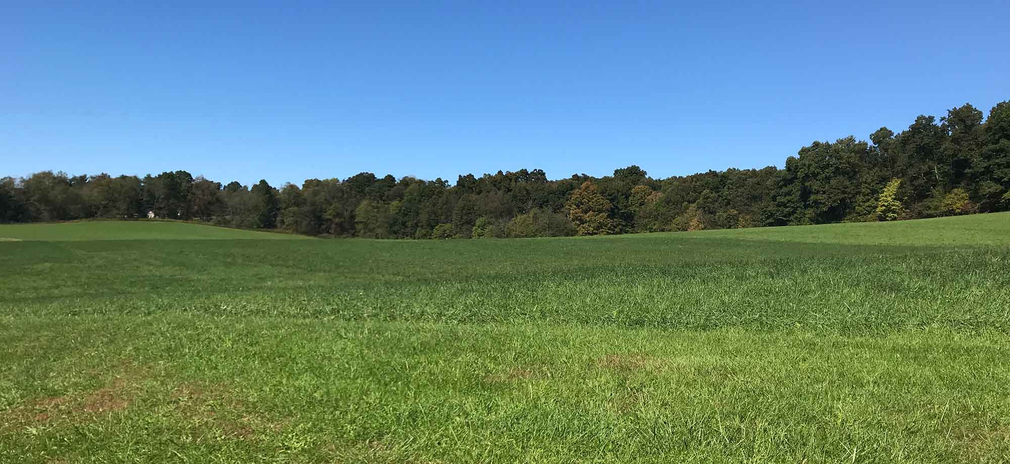 Pamer Farm Hay Field