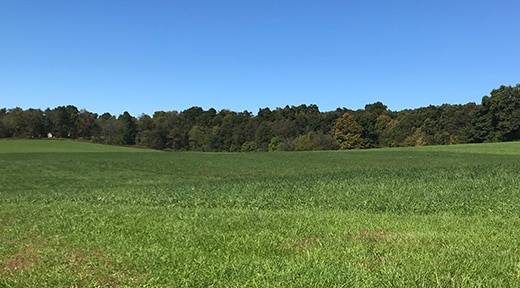 Pamer Farm Hay